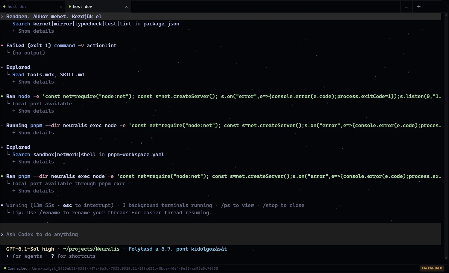 A configured host Terminal running Codex with sample diagnostic output